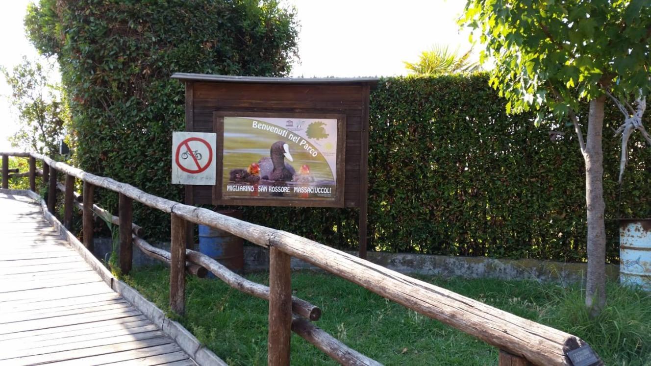 Villa Twetty Massaciuccoli Exterior foto